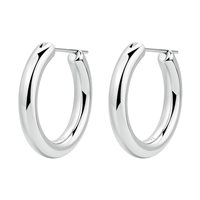 Earrings Brosway Woman Aura in Steel BAU24